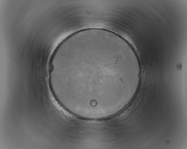 X0000111151088200907211157