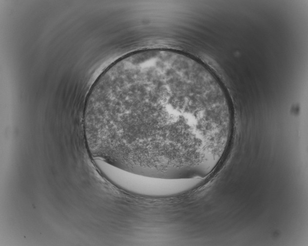 X0000111151089200907211157