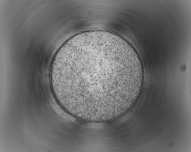 X0000111151090200907211157