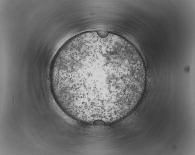 X0000111151091200907211157