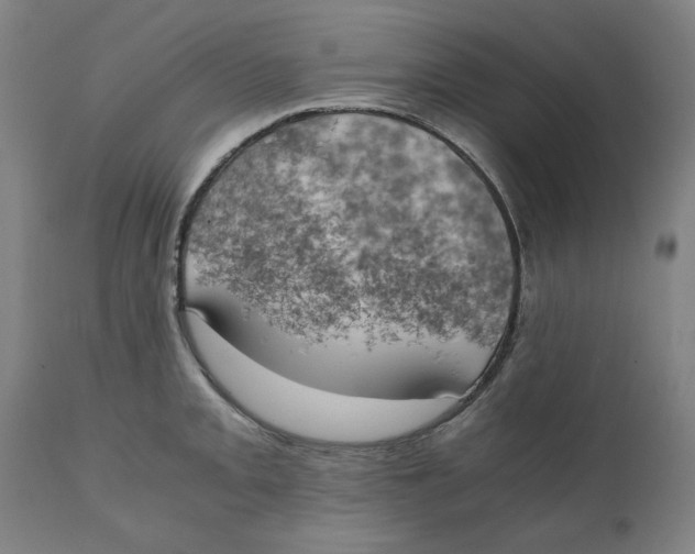 X0000111151093200907211157