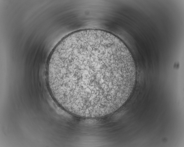 X0000111151094200907211157