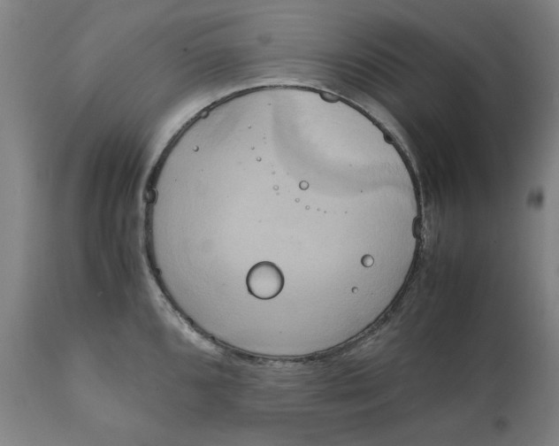 X0000111151096200907211157