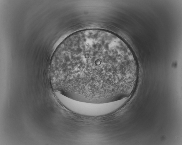 X0000111151097200907211157