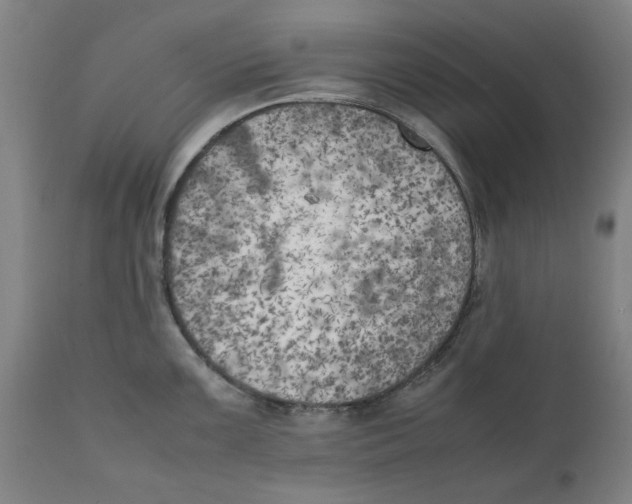 X0000111151099200907211157