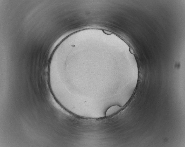 X0000111151100200907211157