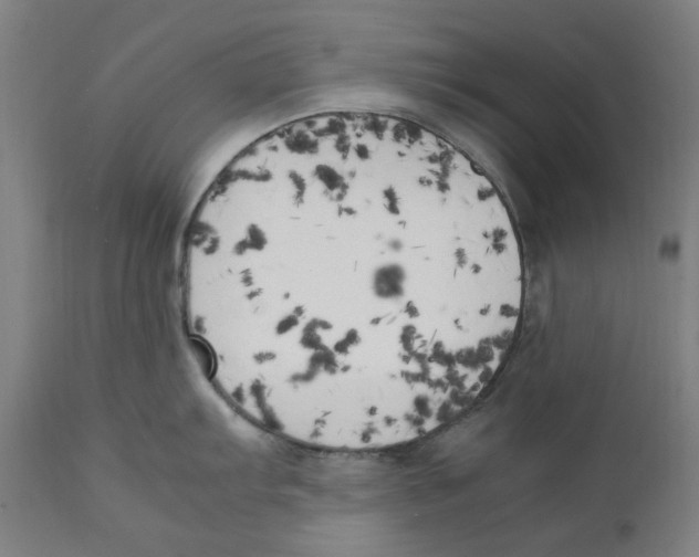 X0000111151103200907211157