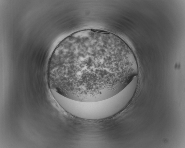X0000111151104200907211157