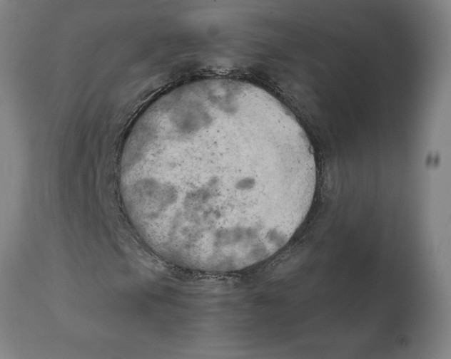 X0000111151105200907211156