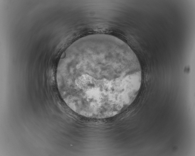 X0000111151106200907211156
