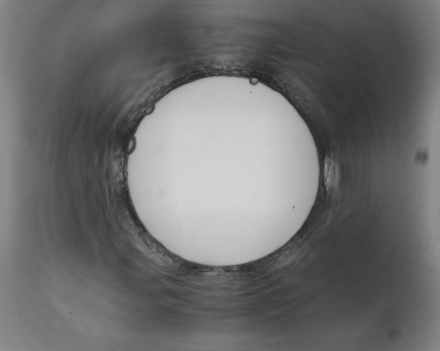 X0000111151107200907211156