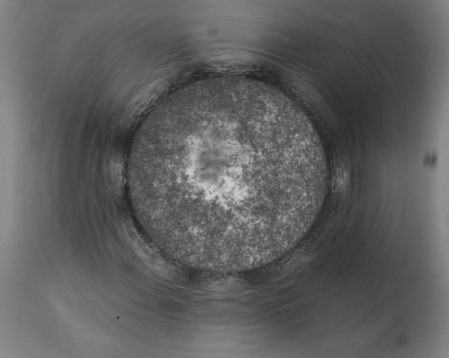 X0000111151108200907211156