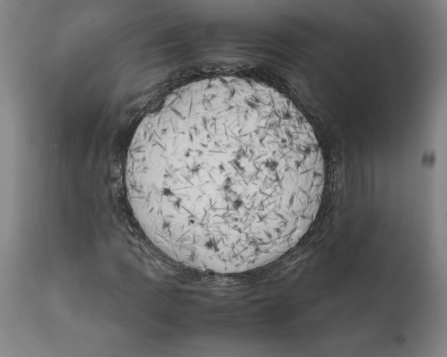 X0000111151109200907211156