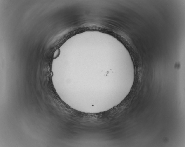 X0000111151111200907211156