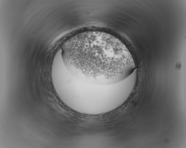 X0000111151112200907211156