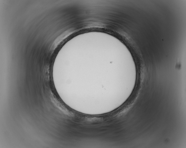 X0000111151113200907211156