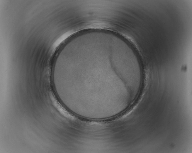 X0000111151114200907211156
