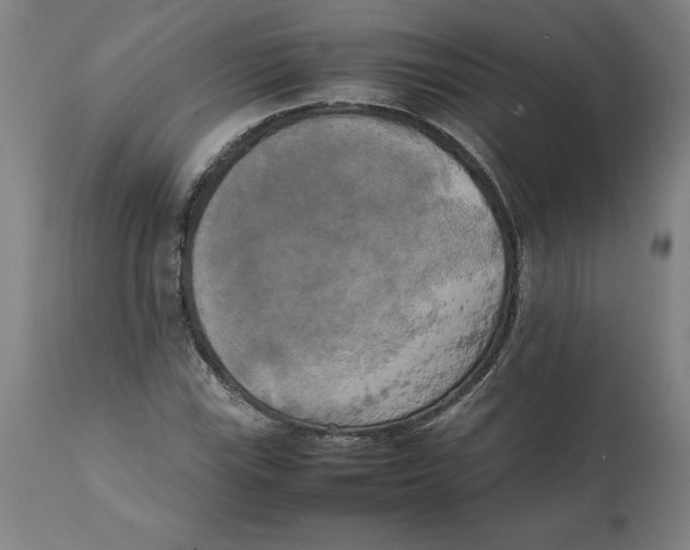 X0000111151115200907211156