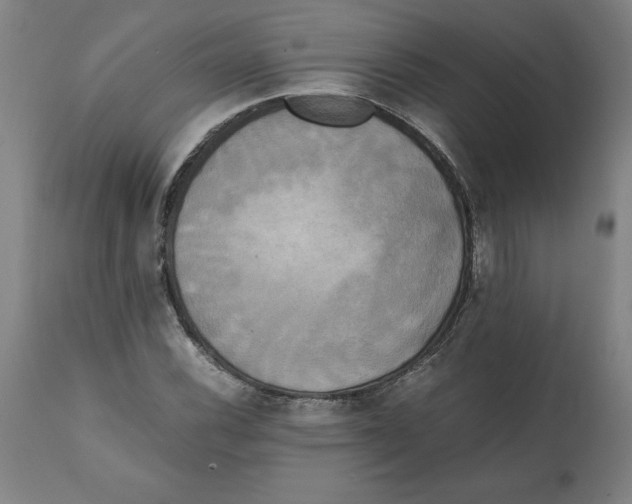 X0000111151116200907211156