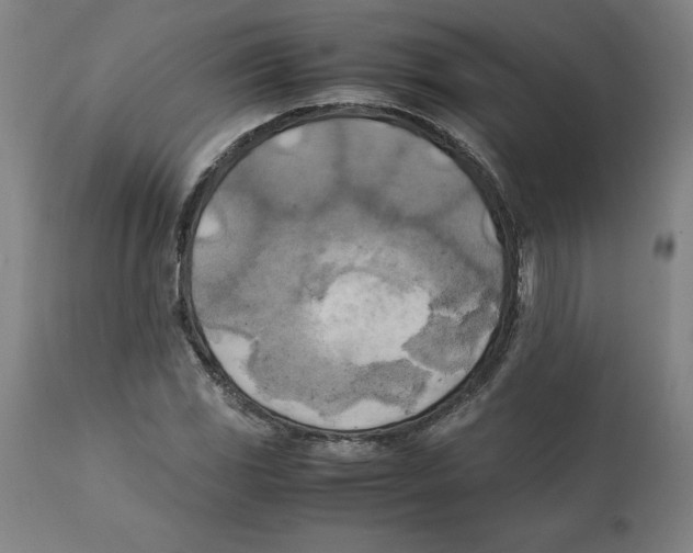 X0000111151117200907211156