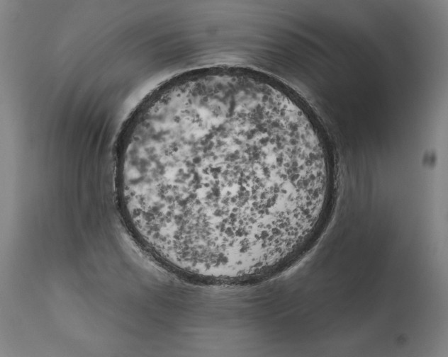 X0000111151118200907211156
