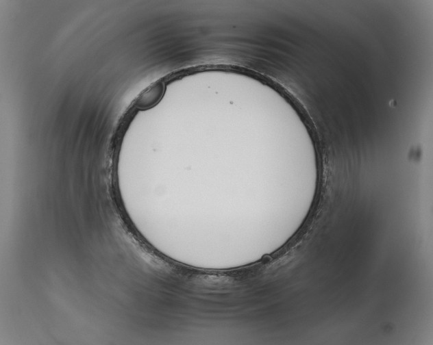 X0000111151119200907211156