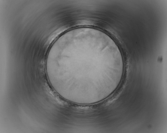 X0000111151121200907211156