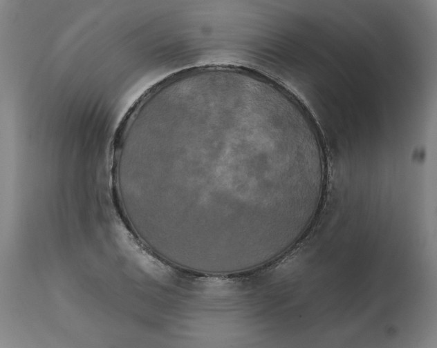 X0000111151124200907211157