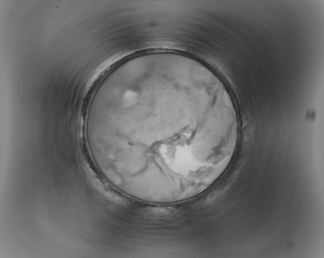 X0000111151125200907211157