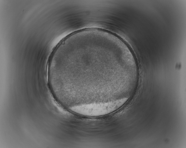 X0000111151127200907211157