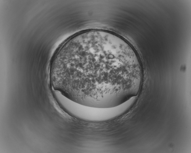 X0000111151128200907211157