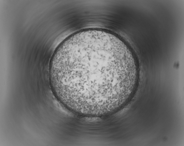 X0000111151129200907211157