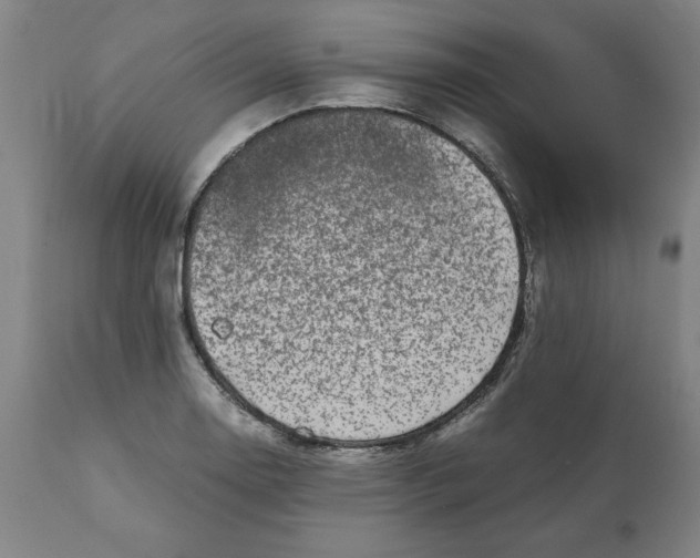 X0000111151130200907211157