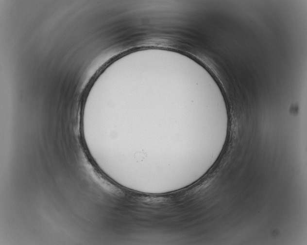 X0000111151131200907211157