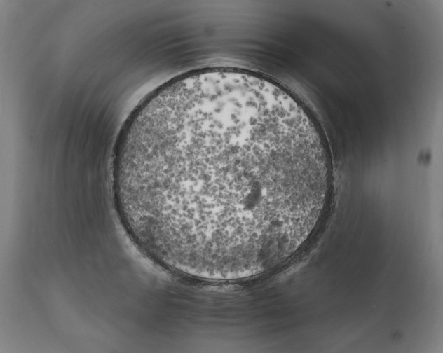 X0000111151133200907211157