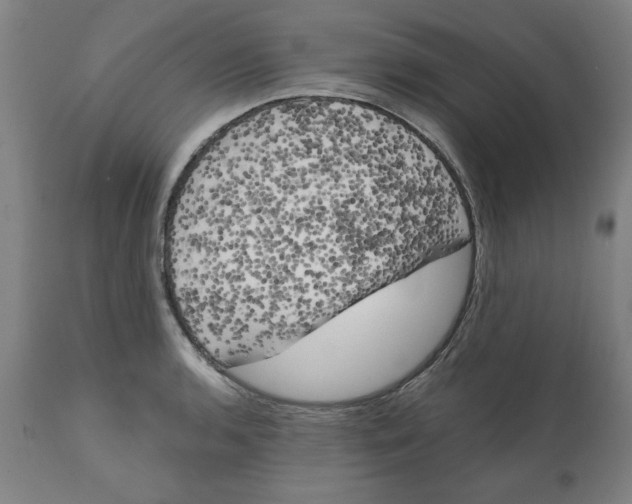 X0000111151136200907211157