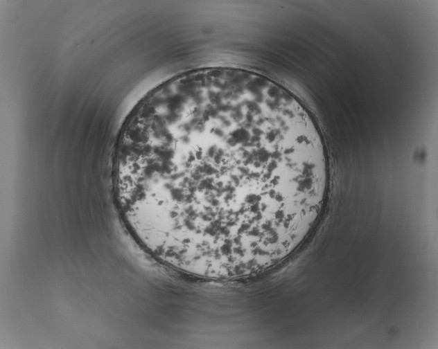 X0000111151138200907211157