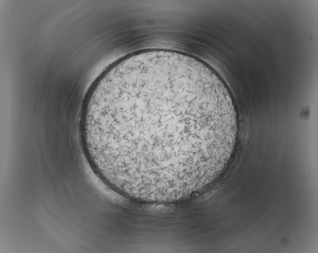 X0000111151139200907211157