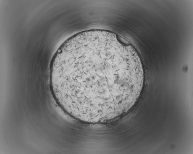 X0000111151140200907211157