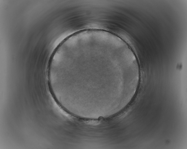 X0000111151141200907211157