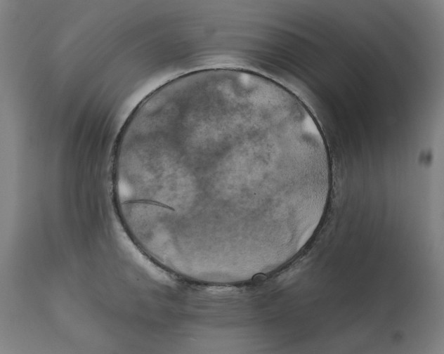 X0000111151142200907211157