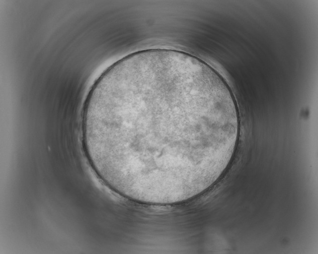 X0000111151144200907211157