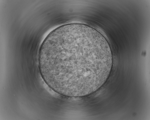 X0000111151148200907211157