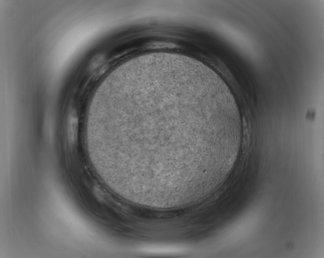 X0000111151151200907211157