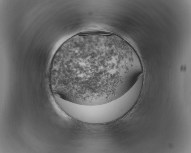 X0000111151152200907211157