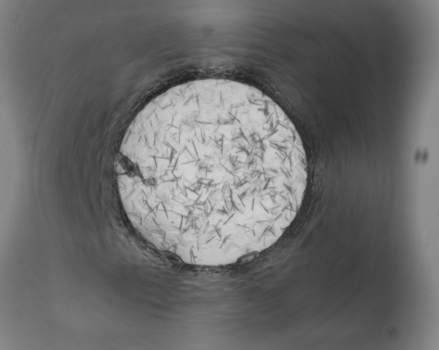 X0000111151153200907211156