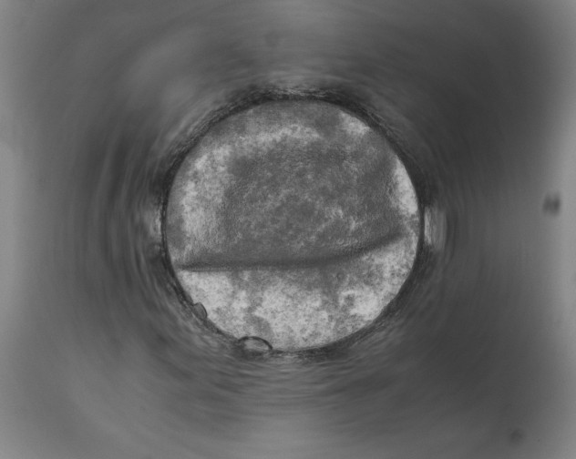X0000111151155200907211156