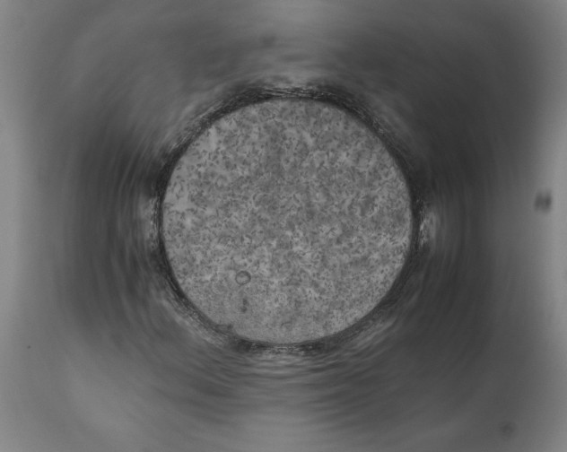 X0000111151156200907211156