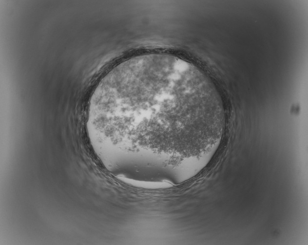 X0000111151157200907211156