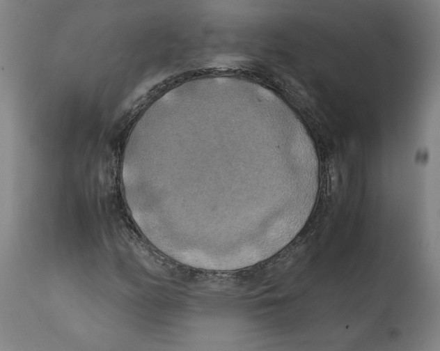 X0000111151158200907211156